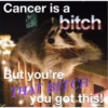 Cancer is a
@raccooh village
bitch
But you're
THAT BITCH
you got this!