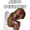 ANDO ¡OCUPADIN