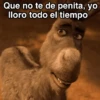Sherk ✨ Memes clásicos 2 13