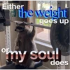 20
Either
12
|=|2|0|-|
or
the weight
goes up
B
RBELL
my soul
does