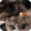🐒 Реакции обезьян 🐒 9