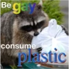 Raccoon Vol. 2 13