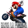 Super Mario Bros. 13