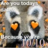 Raccoon Vol. 2 14