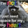Raccoon Vol. 2 16