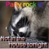 Raccoon Vol. 2 18