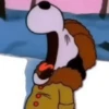 🐶 SnOoPy 🌲 11