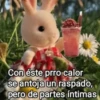 ❤️ TERNURINES MEMES 🔝 10