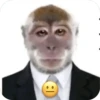 🐒 Реакции обезьян 🐒 12