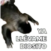 YA LLÉVAME DIOSITO