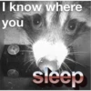 I know where
you
sleep