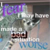 38
I may have
made a
bad
@raccoon. village
situation
worse