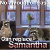 No amount of trash
@Raccoon Village
Can replace
Samantha