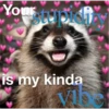 Raccoon Vol. 2 21