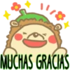 MUCHAS GRACIAS