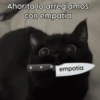 Gatos Good 😼🤟🏻 8