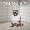 Raccoon Vol. 2 22