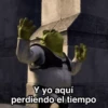 Sherk ✨ Memes clásicos 2 18