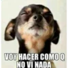 drama 2< 23