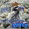 Raccoon Vol. 2 23
