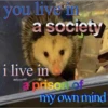 Fynny trash haha 25