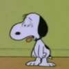 🐶 SnOoPy 🌲 17