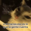 Gatos Good 😼🤟🏻 13