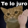 ✨ Memes mix 7 🔥 15