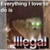 Everything I love to
do is
@Raccoon. .villac
Illegal