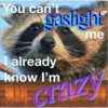 You can't
Gaslight
me
I already
know I'm
@raccoon village
craz