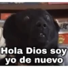 ✨ Memes mix 7 🔥 17