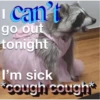 Raccoon Vol. 2 25
