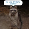 do you are have
stupid?
village