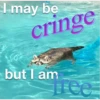 I may be
cringe
@raccoon village
but I am
tree