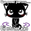 Black cat 6