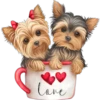 Perritos cute 14 Img1712 7