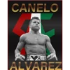 CANELO
VALUE
ALVAREZ