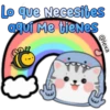 Bebé tiburón 9
