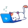 2
