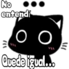 Black cat 7