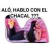 ALÓ, HABLO CON EL
CHACAL ???