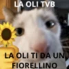 La oliiiiiiiiiiiiiiiiiiiiiiiiii 3