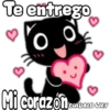Black cat 9