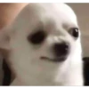 reaction memes 4 7