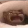 lil bear 10