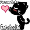 Black cat 10