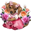 Perritos cute 14 Img1712 11