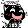 Black cat 11