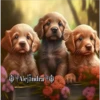 Perritos 2Guau Guau 9