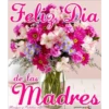Feliz Dia
de las
Madres
Mensajes y Palabras de Vere
Mariposita